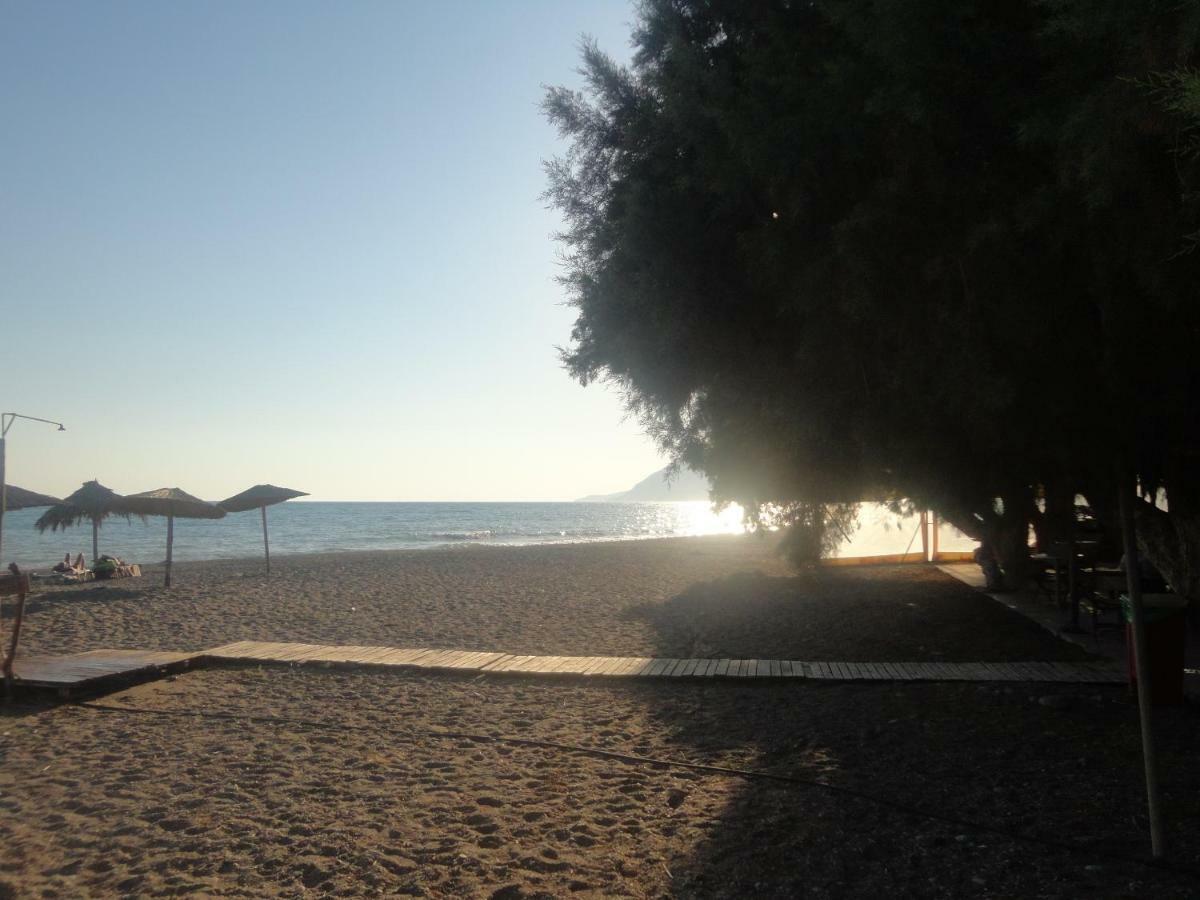 Coral Sea Apartment Kokkinos Pyrgos Eksteriør billede